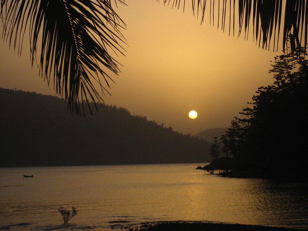 Paradise Bay Eco Escape ลองไอส์แลนด์ ภายนอก รูปภาพ